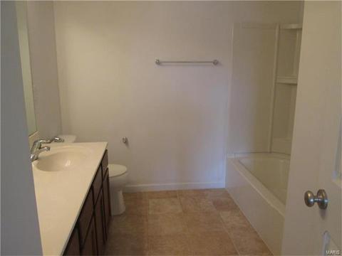 11216 Tea Olive Dr, Bridgeton, MO 63044 photo 11