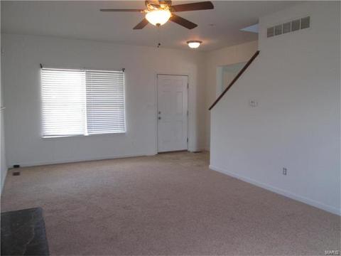 11216 Tea Olive Dr, Bridgeton, MO 63044 photo 4