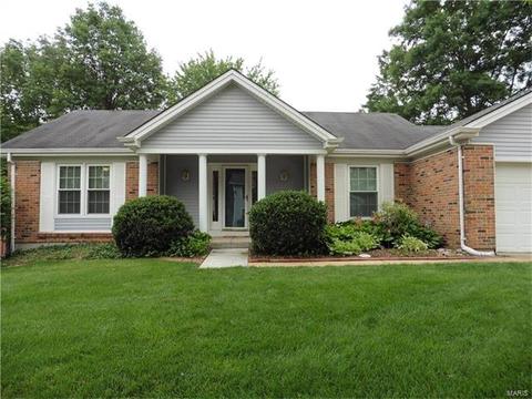 16526 Winter Leaf Dr, Wildwood, MO 63011 photo 1