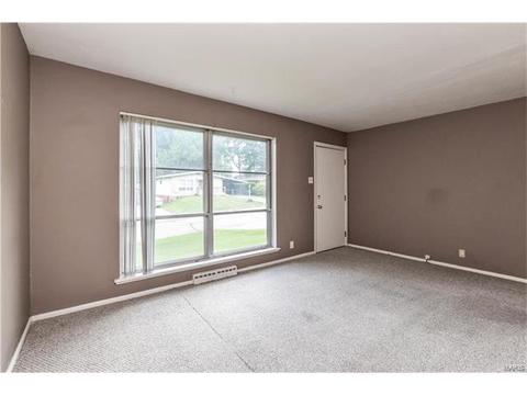 313 Saint Lawrence Dr, Ballwin, MO 63021 photo 2