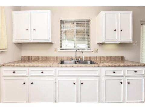 313 Saint Lawrence Dr, Ballwin, MO 63021 photo 7