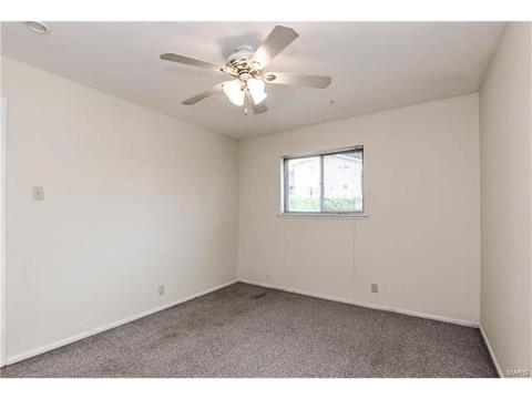 313 Saint Lawrence Dr, Ballwin, MO 63021 photo 12