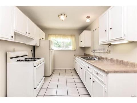 313 Saint Lawrence Dr, Ballwin, MO 63021 photo 5