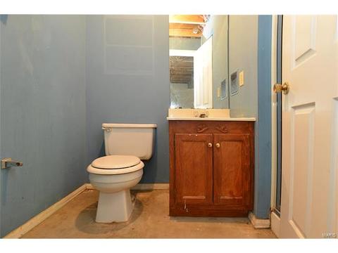 921 Sherwick Ter, Ballwin, MO 63021 photo 42
