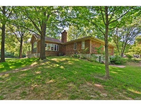 921 Sherwick Ter, Ballwin, MO 63021 photo 58