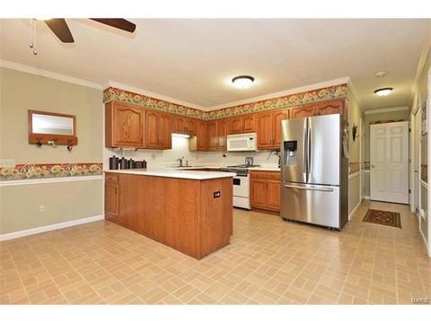 921 Sherwick Ter, Ballwin, MO 63021 photo 19