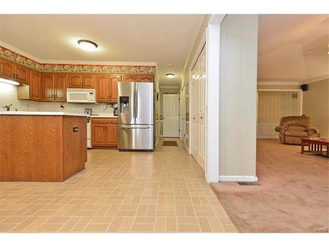 921 Sherwick Ter, Ballwin, MO 63021 photo 18