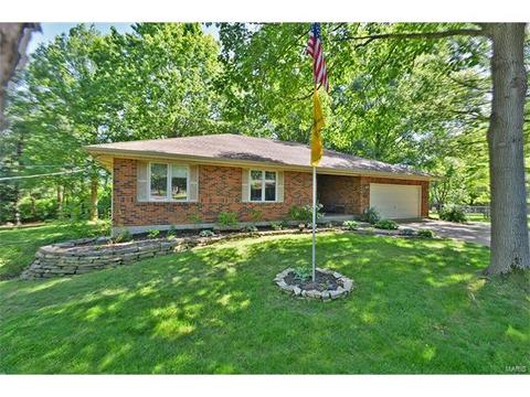 921 Sherwick Ter, Ballwin, MO 63021 photo 65