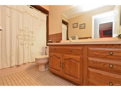 921 Sherwick Ter, Ballwin, MO 63021 photo 29