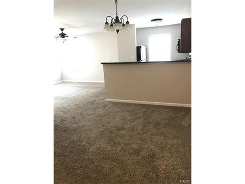 11102 Spring Creek Ln, O'fallon, MO 63368 photo 4