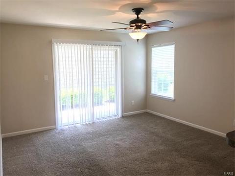 11102 Spring Creek Ln, O'fallon, MO 63368 photo 5