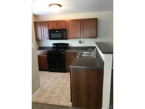 11102 Spring Creek Ln, O'fallon, MO 63368 photo 6