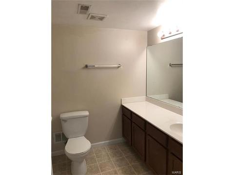 11102 Spring Creek Ln, O'fallon, MO 63368 photo 11