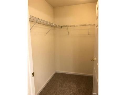 11102 Spring Creek Ln, O'fallon, MO 63368 photo 10