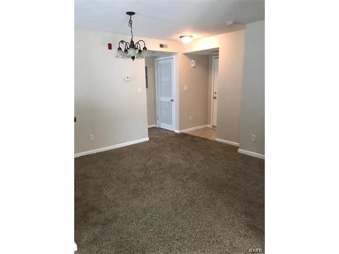 11102 Spring Creek Ln, O'fallon, MO 63368 photo 7