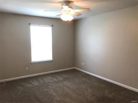 11102 Spring Creek Ln, O'fallon, MO 63368 photo 8