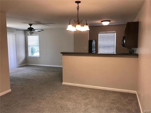 11102 Spring Creek Ln, O'fallon, MO 63368 photo 3
