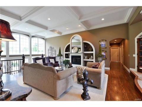 653 Willow Lk, Weldon Spring, MO 63304 photo 18