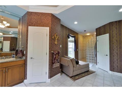 653 Willow Lk, Weldon Spring, MO 63304 photo 34