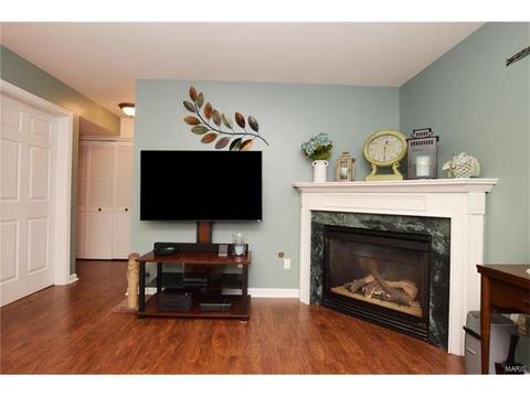 101 Towne Square Ct #b, Eureka, MO 63025 photo 10