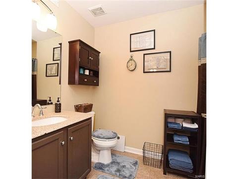 101 Towne Square Ct #b, Eureka, MO 63025 photo 16