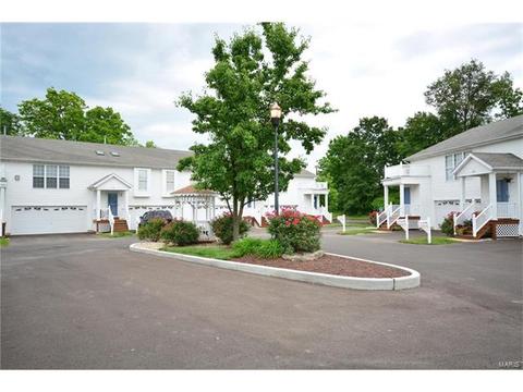 101 Towne Square Ct #b, Eureka, MO 63025 photo 19