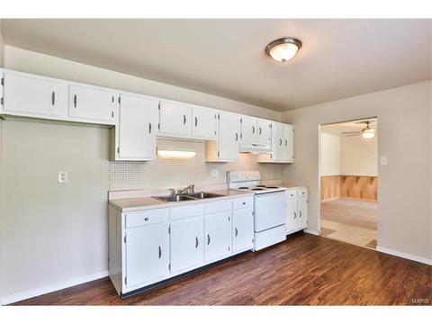 16 Wilbert Dr, Saint Charles, MO 63304 photo 7