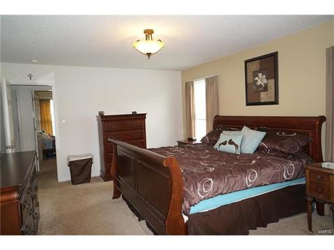 305 Estate Dr, O'fallon, MO 63366 photo 17