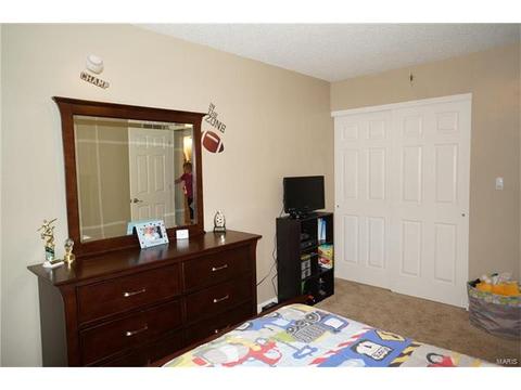 305 Estate Dr, O'fallon, MO 63366 photo 29