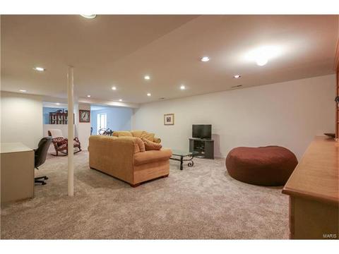 4623 Meramec Blvd, Eureka, MO 63025 photo 23