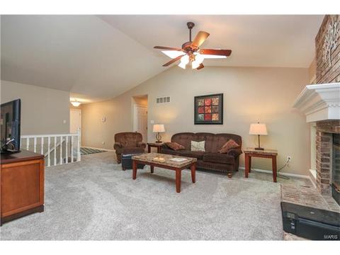 4623 Meramec Blvd, Eureka, MO 63025 photo 9
