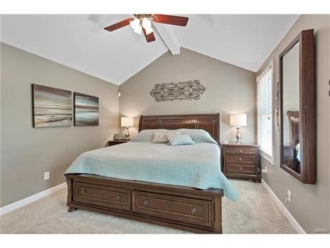 16239 Castlerea Blvd, Ellisville, MO 63021 photo 13