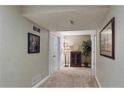 16239 Castlerea Blvd, Ellisville, MO 63021 photo 21