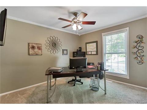 16239 Castlerea Blvd, Ellisville, MO 63021 photo 17