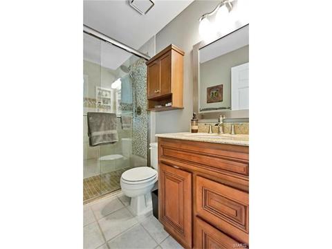 16239 Castlerea Blvd, Ellisville, MO 63021 photo 15