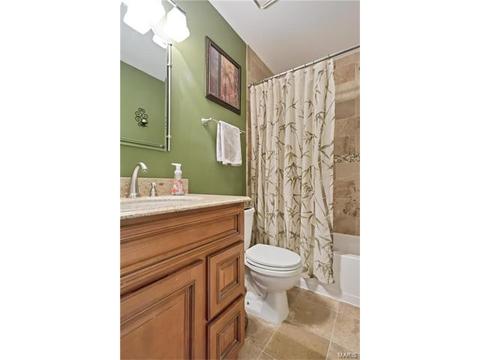 16239 Castlerea Blvd, Ellisville, MO 63021 photo 19