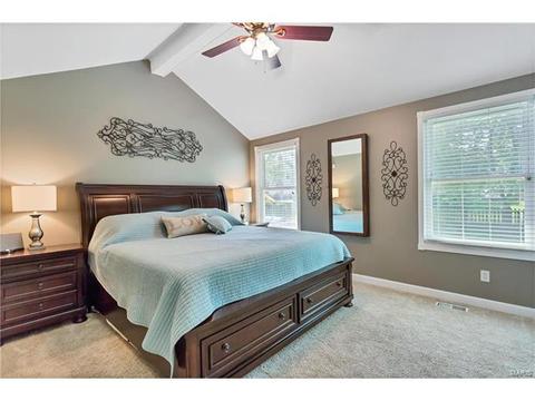 16239 Castlerea Blvd, Ellisville, MO 63021 photo 12