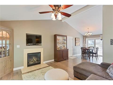 16239 Castlerea Blvd, Ellisville, MO 63021 photo 3