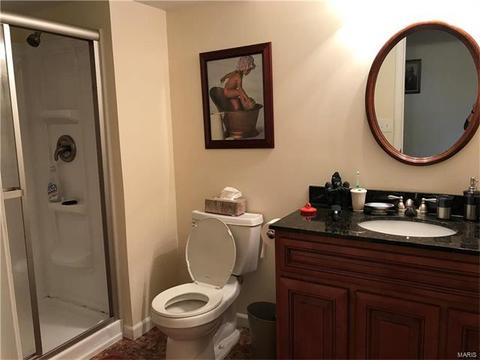 248 Cedar Forest Ct, Weldon Spring, MO 63304 photo 19