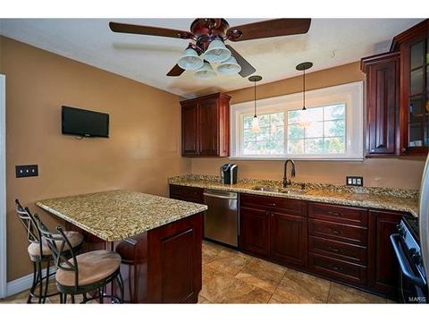 105 E Rose Ave, Saint Louis, MO 63119 photo 16