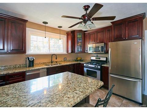 105 E Rose Ave, Saint Louis, MO 63119 photo 14