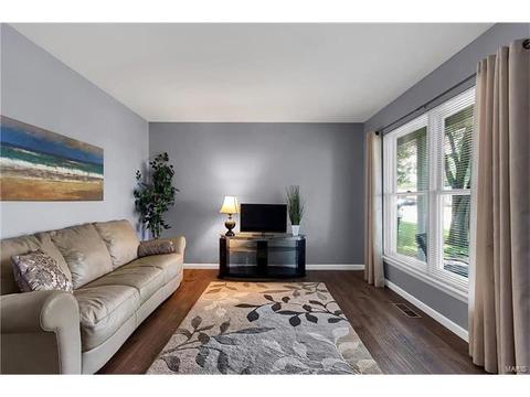 1069 Deleon, Fenton, MO 63026 photo 3