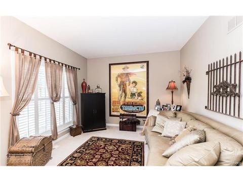 841 Spring Cove Ct, Eureka, MO 63025 photo 15