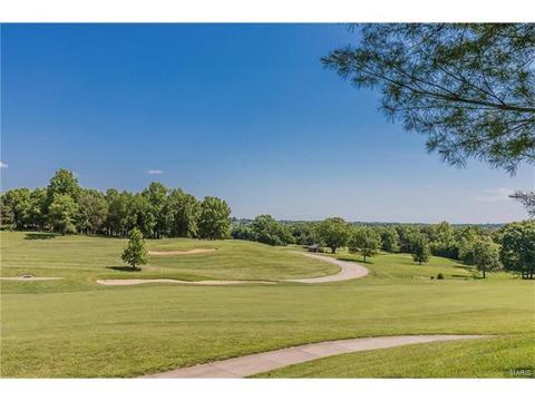 841 Spring Cove Ct, Eureka, MO 63025 photo 74