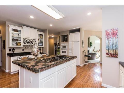841 Spring Cove Ct, Eureka, MO 63025 photo 19