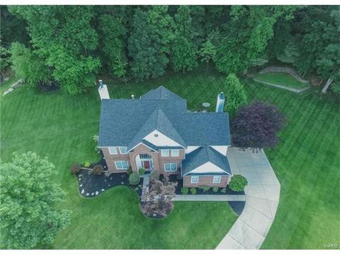 841 Spring Cove Ct, Eureka, MO 63025 photo 84