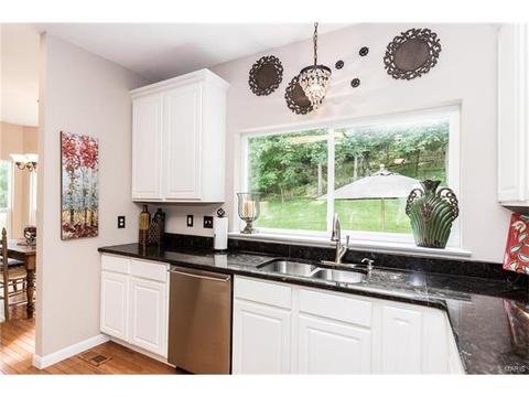 841 Spring Cove Ct, Eureka, MO 63025 photo 20
