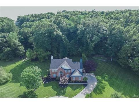 841 Spring Cove Ct, Eureka, MO 63025 photo 3