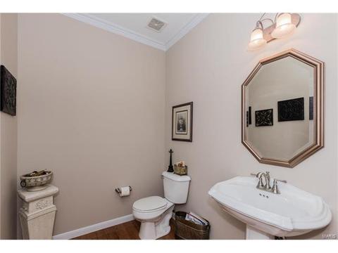 841 Spring Cove Ct, Eureka, MO 63025 photo 16