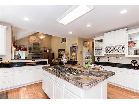 841 Spring Cove Ct, Eureka, MO 63025 photo 23